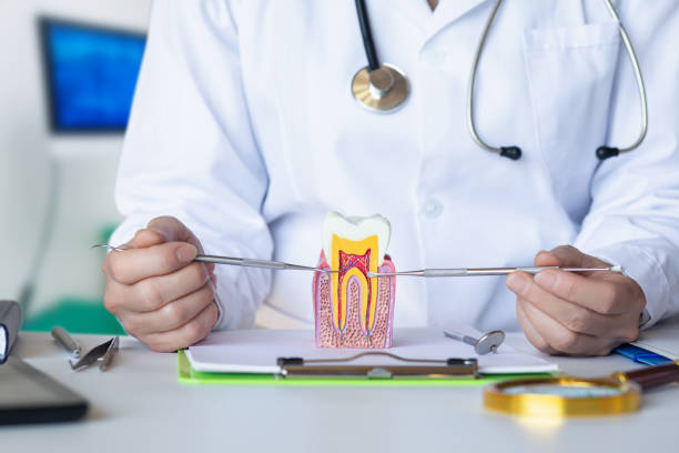Best Emergency Wisdom Teeth Removal in Connell, WA